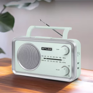 Compatta ed essenziale: la tua radio FM/MW da portare ovunque.